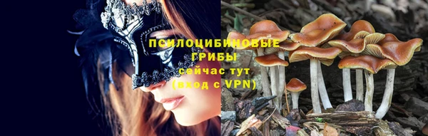 сатива Медвежьегорск