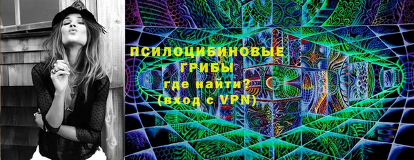 бошки Медногорск